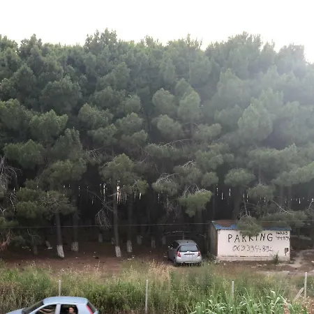 Dhoma Plazhi Pensión Spille